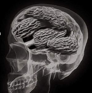 Meet your Posher, Jesse